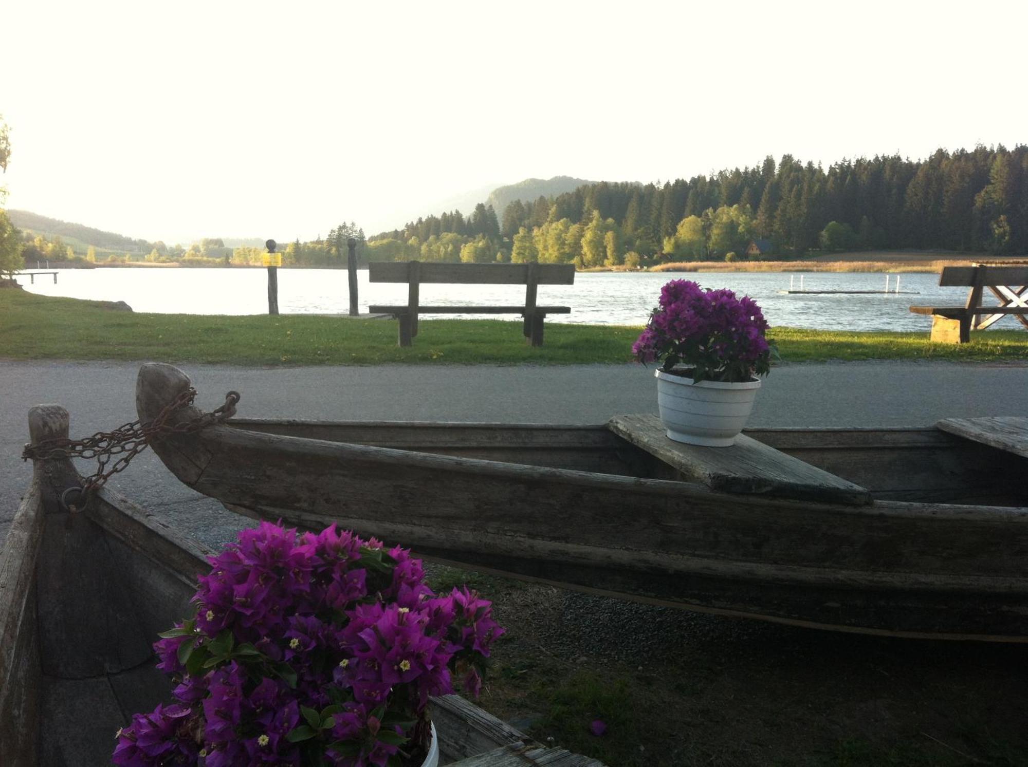 Jera Am Furtnerteich Hotel-Ristorante&Relax Mariahof ภายนอก รูปภาพ